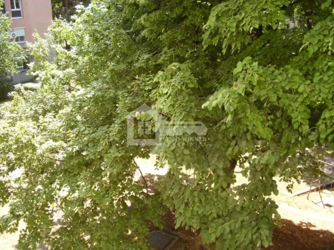 Rent, one bedroom apartment, 38m², Brace Jerković, Voždovac Sve Podlokacije - image 16