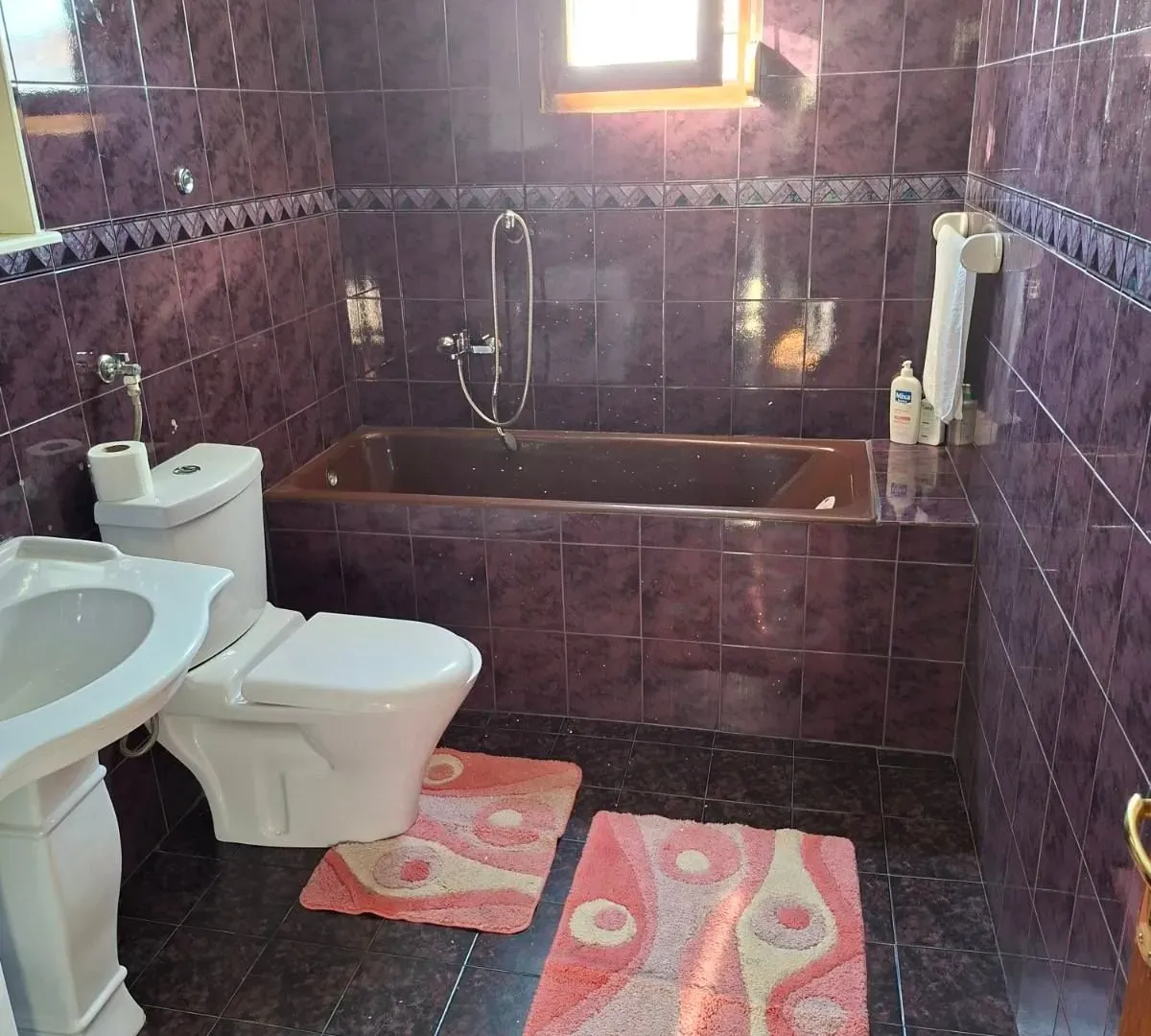 Rent, house, 100m², Zagorič, Podgorica