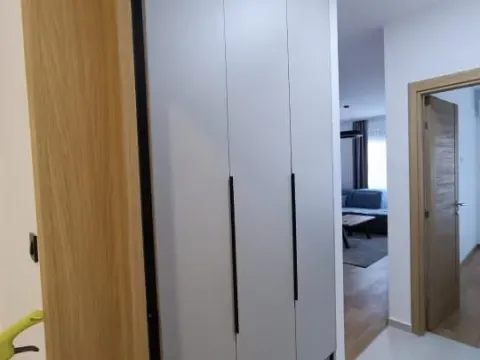 Izdavanje, jednosoban stan, 45m², City Kvart, Podgorica - image 9