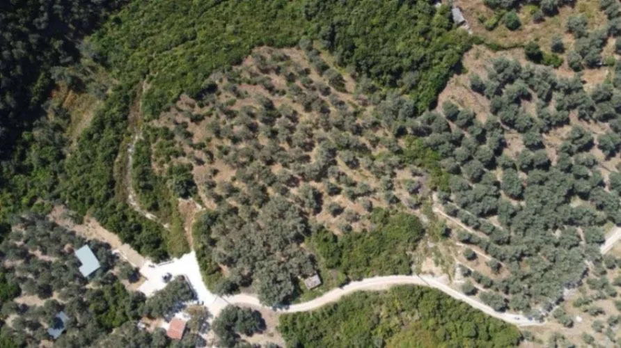 Prodaja, plac, 1996m², Ulcinj, Crna Gora