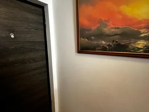 Rent, one bedroom apartment, 44m², Socijalno, Novi Sad Sve Podlokacije - image 4