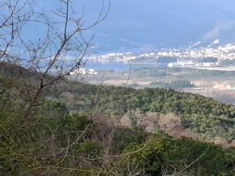 Sale, land lot, 16650m², Kotor, Crna Gora