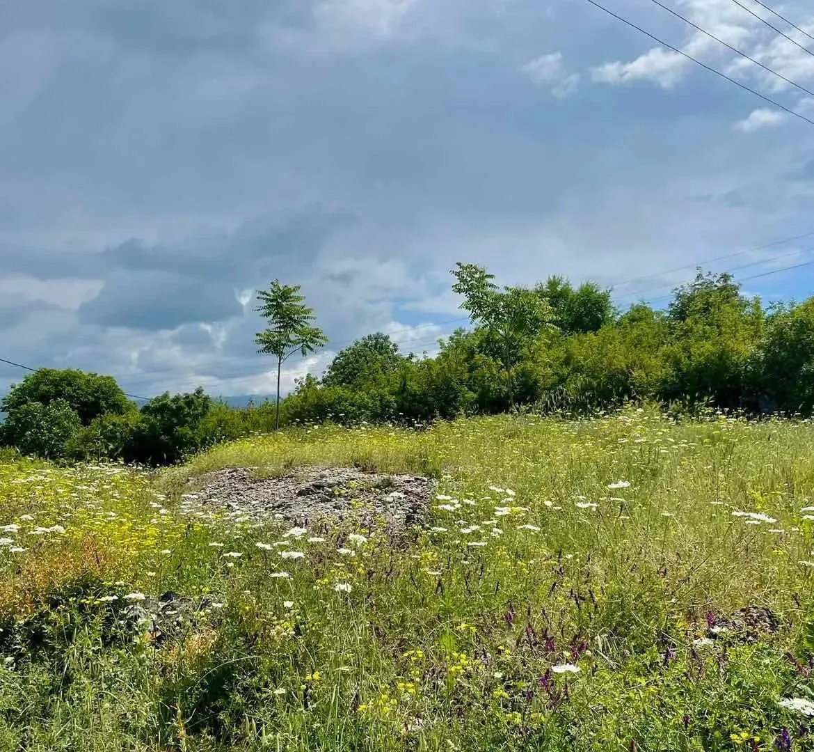 Prodaja, plac, 3000m², Danilovgrad, Crna Gora