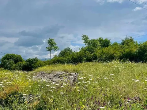 Prodaja, plac, 3000m², Danilovgrad, Crna Gora - image 4