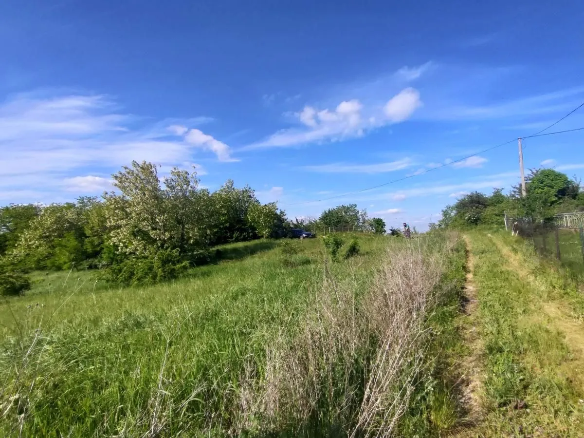 Prodaja, plac, 5000m², Ledinci, Petrovaradin