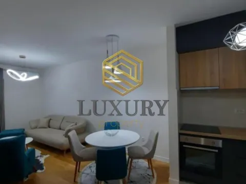 Izdavanje, jednosoban stan, 40m², Central Point, Podgorica - image 4