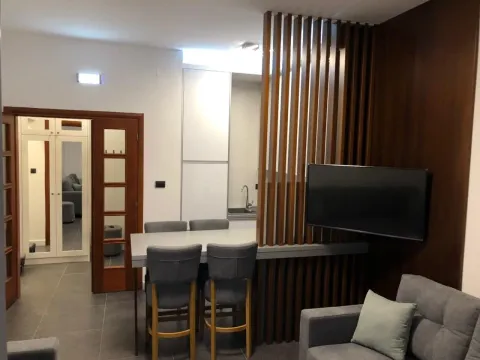 Izdavanje, jednosoban stan, 43m², Budva, Crna Gora - image 4