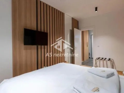 Izdavanje, dvosoban stan, 55m², Južni Bulevar, Vračar Sve Podlokacije - image 15