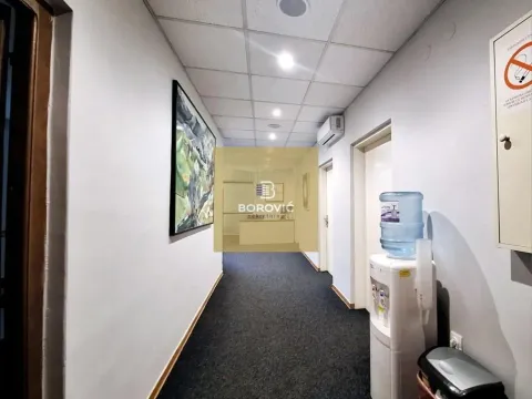 Sale, office space, 315m², Banovo Brdo, Beograd - image 14