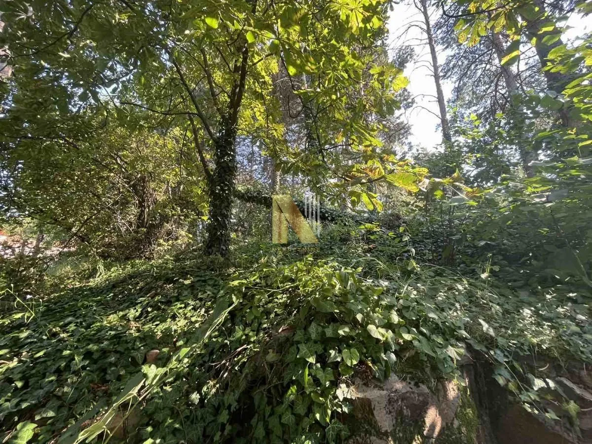 Prodaja, kuća, 71m², Rakovac, Novi Sad Sve Podlokacije