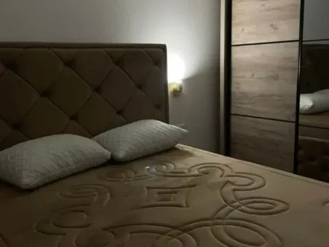 Izdavanje, jednosoban stan, 47m², Stari Aerodrom, Podgorica - image 4