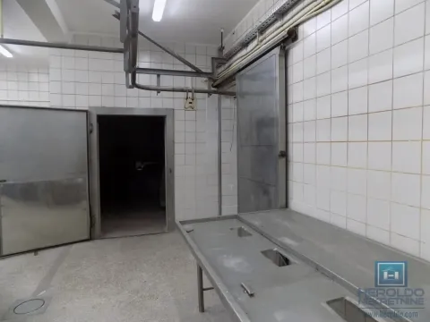 Izdavanje, poslovni prostor, 1500m², Donje Vidovo, Paraćin - image 13