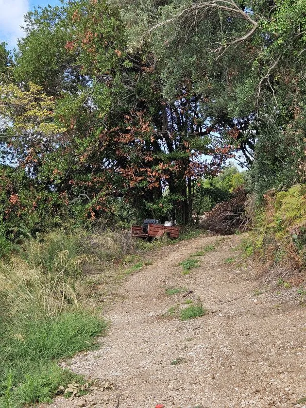 Prodaja, plac, 1843m², Herceg Novi, Crna Gora