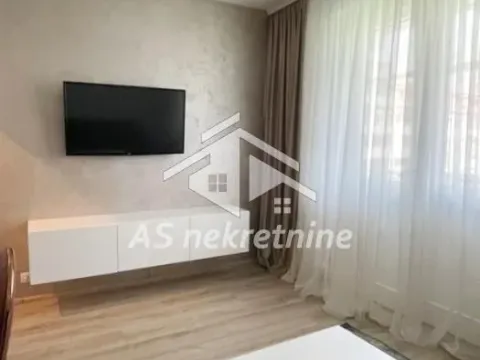 Izdavanje, stan, 39m², Botanička Bašta, Palilula Sve Podlokacije - image 3