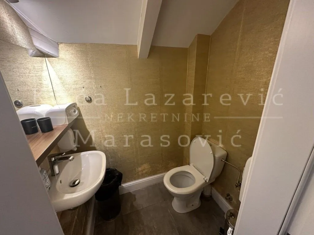 Izdavanje, stan, 250m², Skadarlija, Beograd