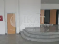 Izdavanje, poslovni prostor, 100m², Zemun Nova Galenika, Zemun Sve Podlokacije - image 3