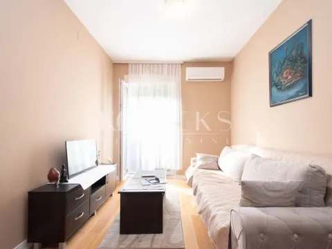 Izdavanje, jednosoban stan, 40m², Central Point, Podgorica - image 2