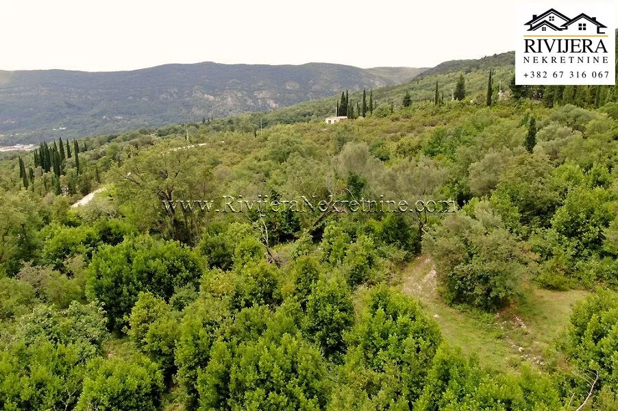 Prodaja, plac, 7251m², Mojdež, Herceg Novi