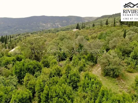 Sale, land lot, 7251m², Mojdež, Herceg Novi - image 3