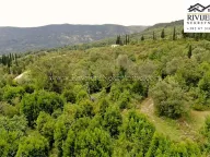 Sale, land lot, 7251m², Mojdež, Herceg Novi - image 3