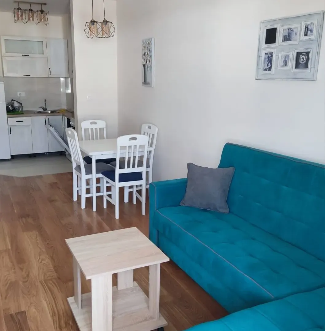 Rent, one bedroom apartment, 43m², Central Point, Podgorica