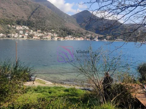 Prodaja, plac, 50000m², Kamenari, Herceg Novi - image 4