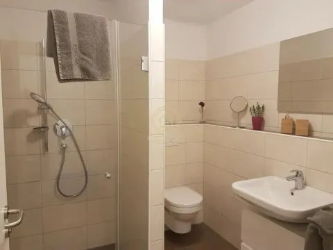 Rent, one bedroom apartment, 30m², Nova Detelinara, Novi Sad Sve Podlokacije - image 3