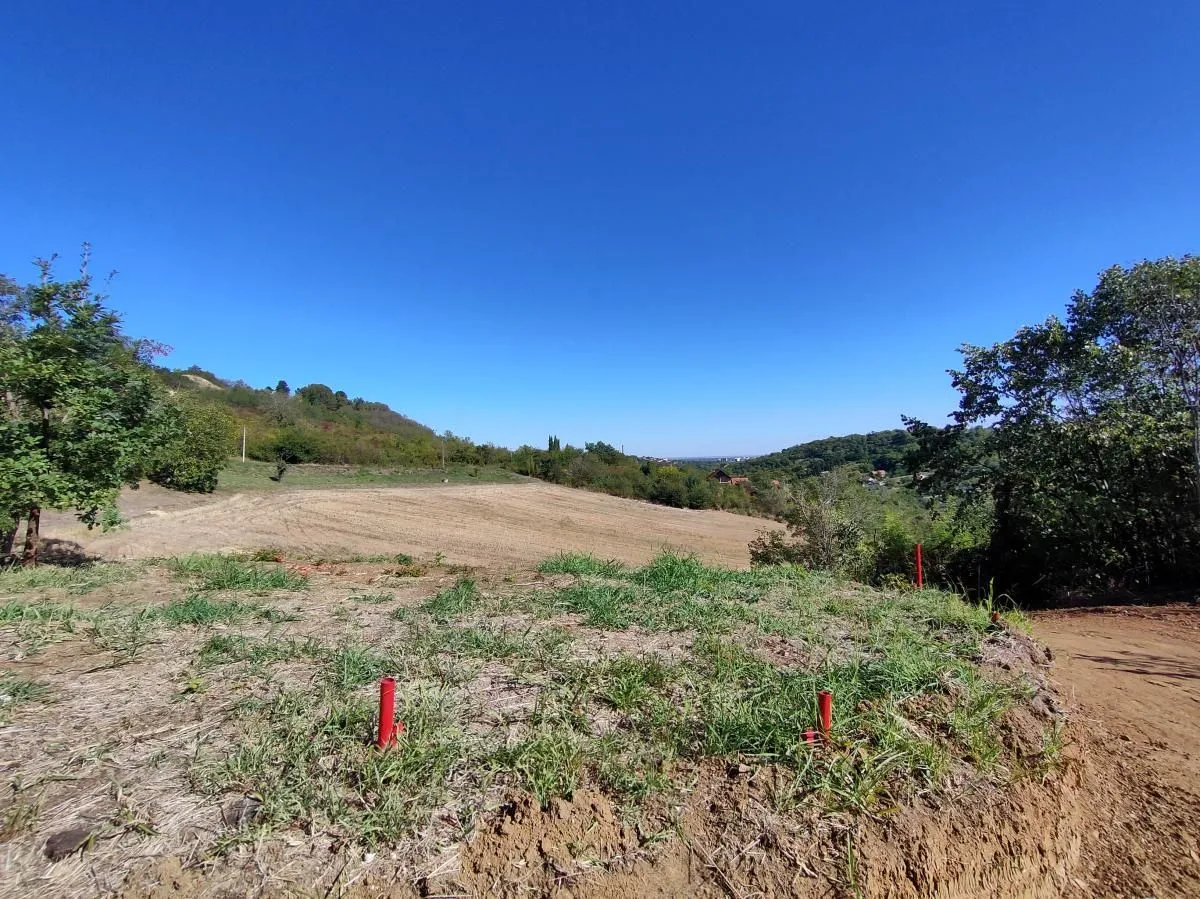 Prodaja, plac, 700m², Sremska Kamenica, Petrovaradin