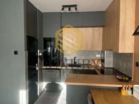 Rent, one bedroom apartment, 45m², Pobrežje, Podgorica - image 4