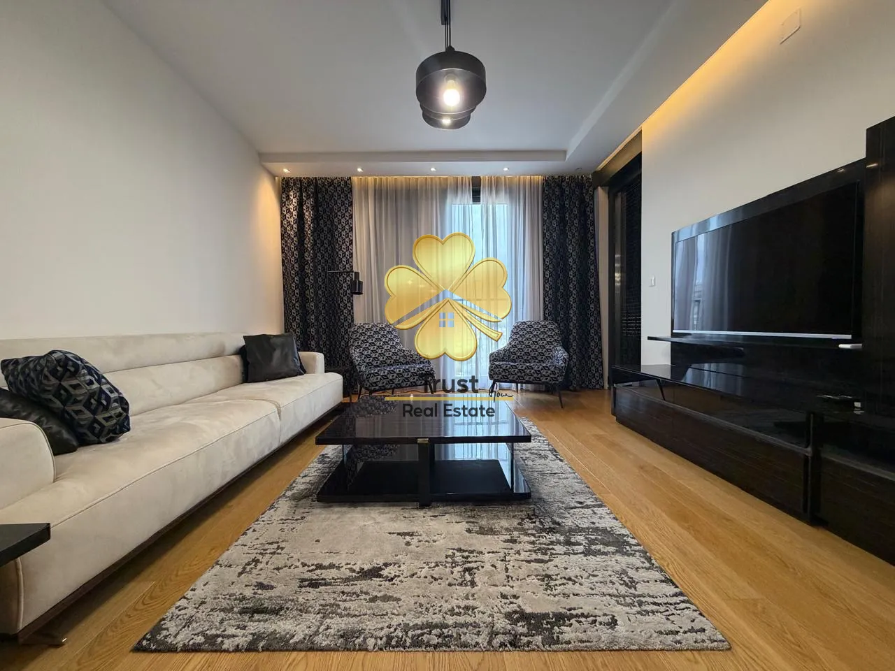 Modern living room with a sofa, coffee table, and television.