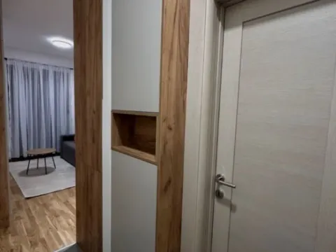 Izdavanje, garsonjera, 24m², Zabjelo, Podgorica - image 7