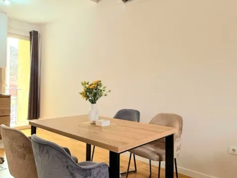 Rent, one bedroom apartment, 50m², Centar, Cetinje - image 8