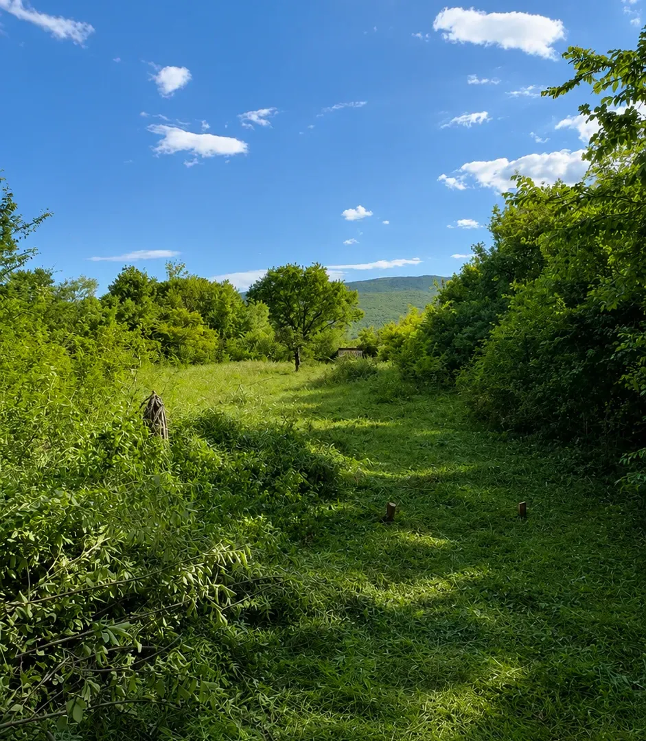 Prodaja, plac, 1322m², Tološi, Podgorica