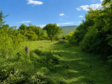 Prodaja, plac, 1322m², Tološi, Podgorica - image 2
