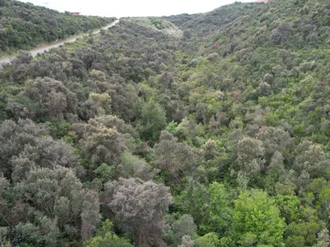 Prodaja, plac, 3585m², Krimovica, Kotor - image 17