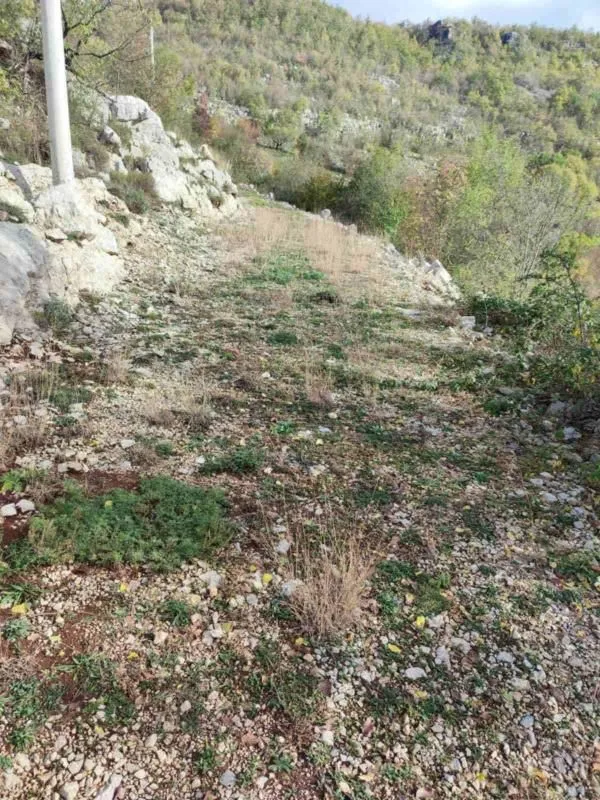 Prodaja, plac, 26000m², Cetinje, Crna Gora