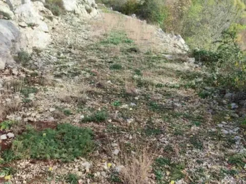 Prodaja, plac, 26000m², Cetinje, Crna Gora - image 10