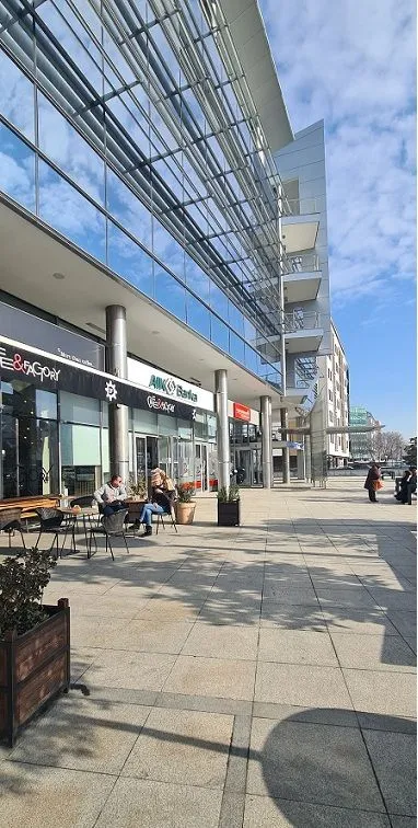Izdavanje, poslovni prostor, 377m², Novi Beograd Blok 63, Novi Beograd Sve Podlokacije