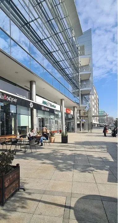 Izdavanje, poslovni prostor, 377m², Novi Beograd Blok 63, Novi Beograd Sve Podlokacije