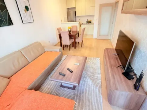 Izdavanje, jednosoban stan, 47m², City Kvart, Podgorica - image 2