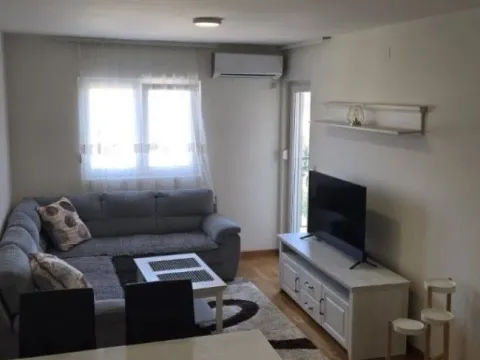 Izdavanje, jednosoban stan, 44m², Zagorič, Podgorica - image 12