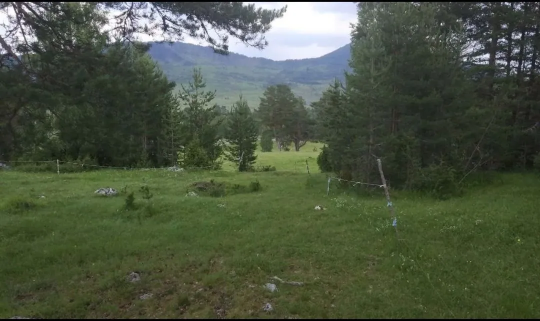 Prodaja, plac, 12000m², Žabljak, Crna Gora