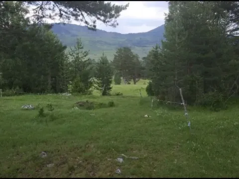 Prodaja, plac, 12000m², Žabljak, Crna Gora - image 4