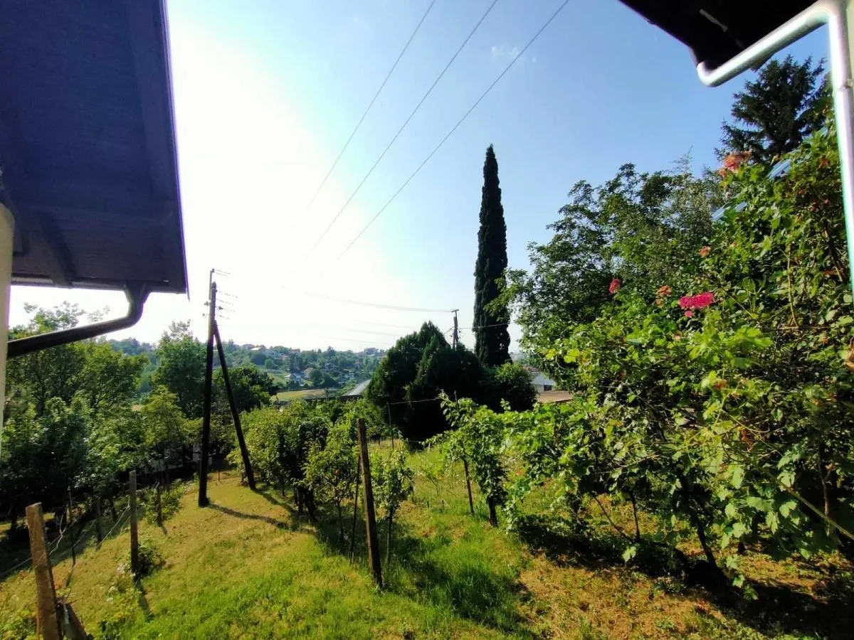 Prodaja, kuća, 250m², Sremska Kamenica, Petrovaradin