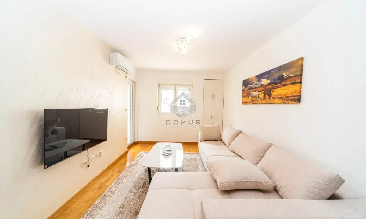 Rent, one bedroom apartment, 46m², Zagorič, Podgorica
