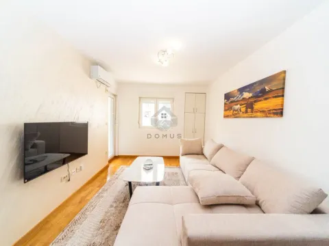 Rent, one bedroom apartment, 46m², Zagorič, Podgorica - image 1