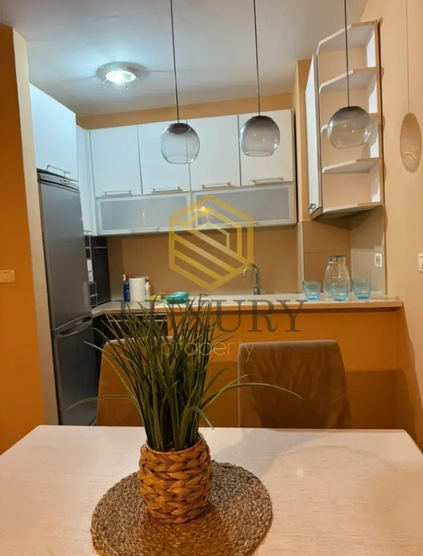 Izdavanje, dvosoban stan, 75m², Zabjelo, Podgorica