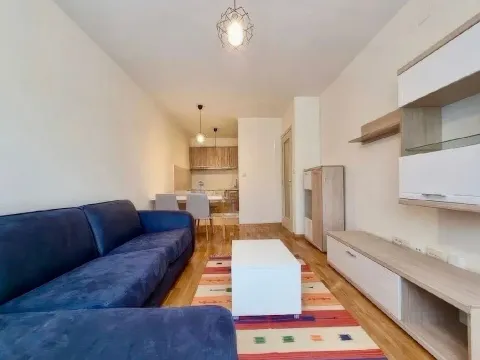 Prodaja, dvosoban stan, 56m², Zagorič, Podgorica - image 3