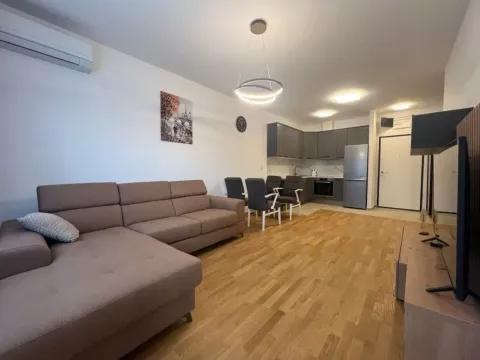Izdavanje, jednosoban stan, 45m², Stari Aerodrom, Podgorica - image 9