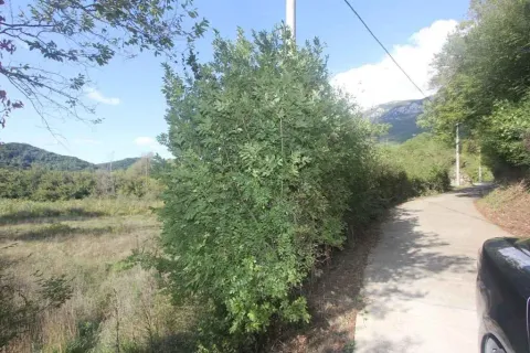 Prilazni put pored zelene parcele zemljišta. - image 5